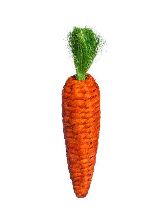 PH Prevue Hendryx Prevue Pet Products Grassy Nibblers Carrot Small Animal Chew Toy - Image 1